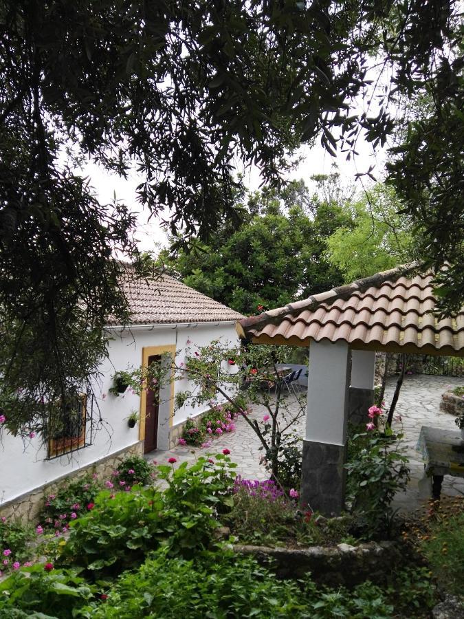 Casa El Cerro Villa El Bosque Kültér fotó