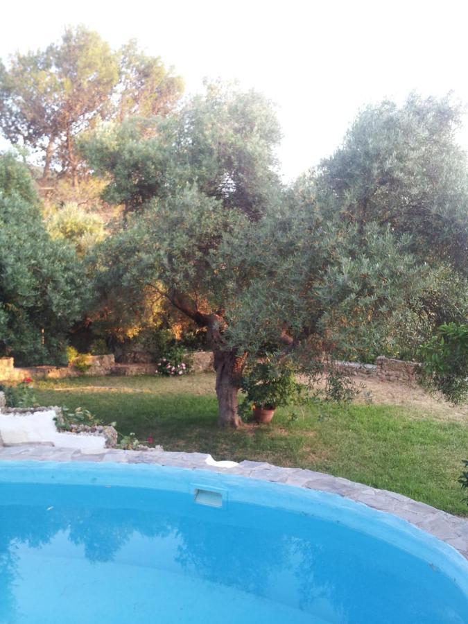 Casa El Cerro Villa El Bosque Kültér fotó